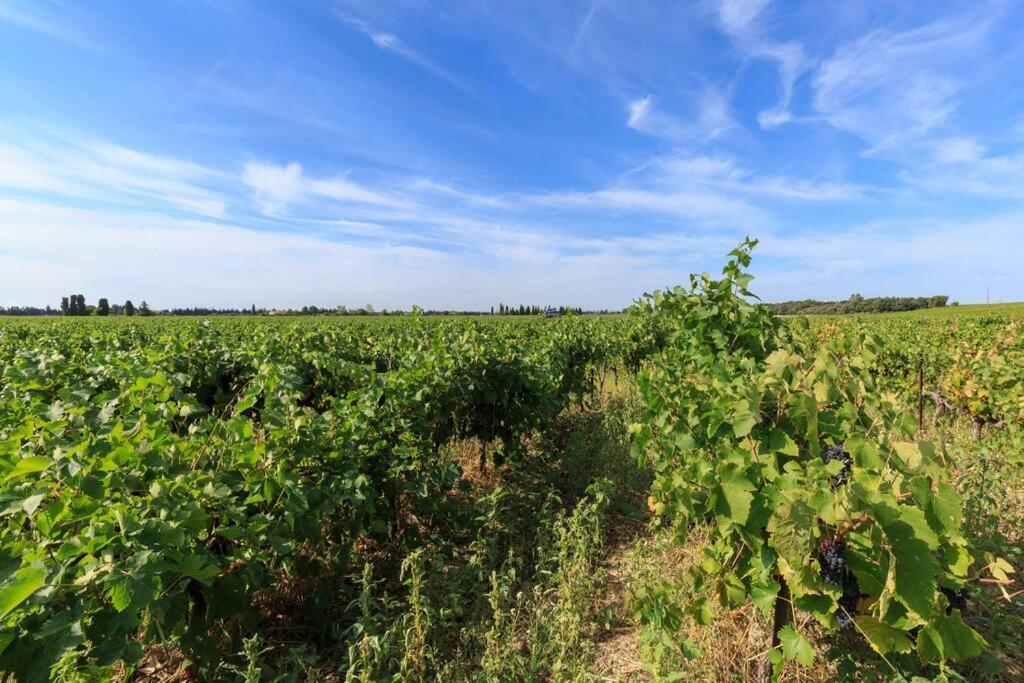 Les Gites De Grand Pere Jules Violes Exterior photo