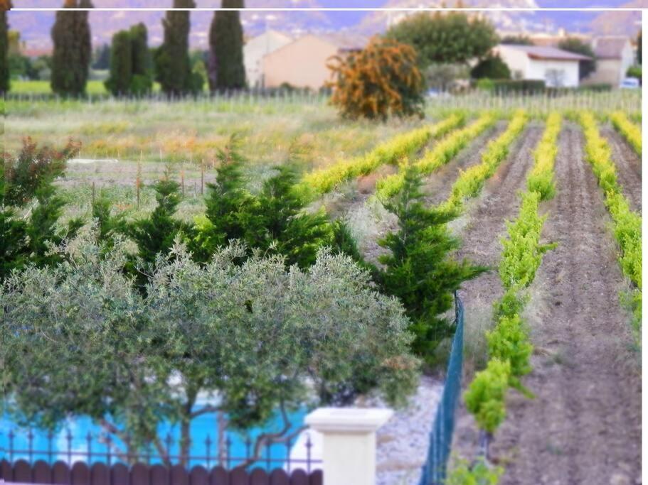 Les Gites De Grand Pere Jules Violes Exterior photo