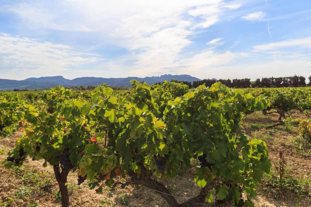 Les Gites De Grand Pere Jules Violes Exterior photo