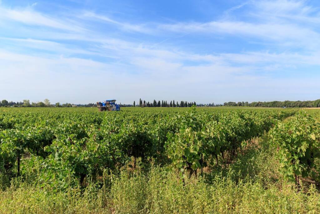 Les Gites De Grand Pere Jules Violes Exterior photo