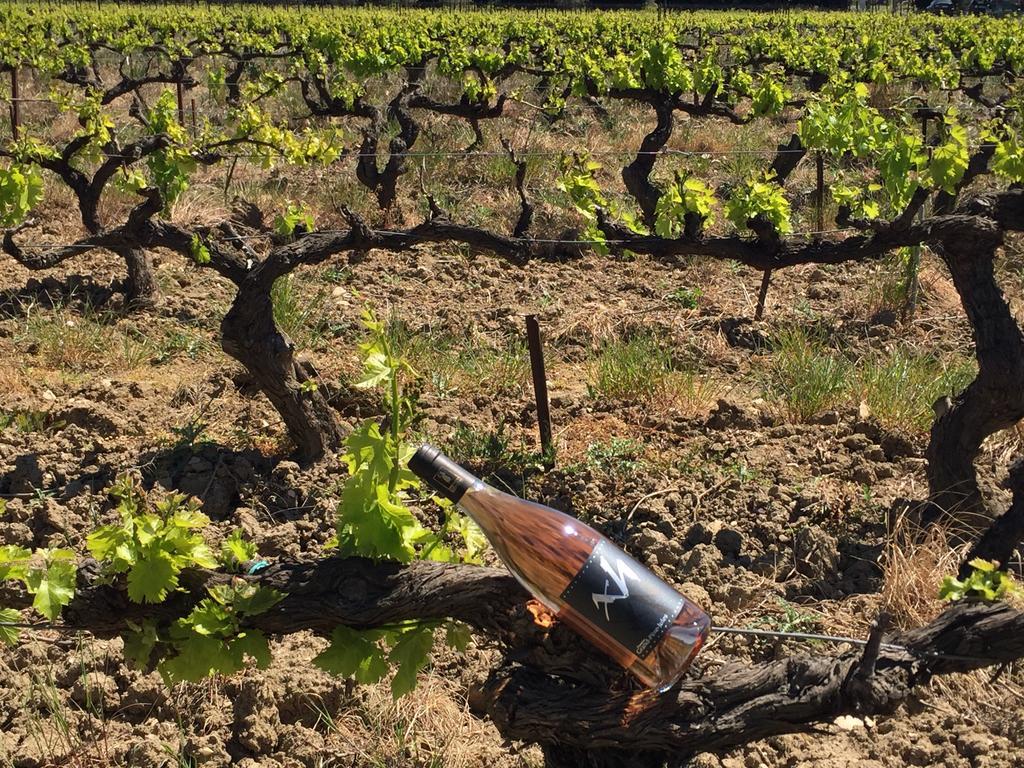 Les Gites De Grand Pere Jules Violes Exterior photo